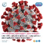 «Новый штамм коронавируса «стелс-омикрон»: симптомы, признаки, прогнозы» - тема прямого эфира рубрики «Спросите доктора»